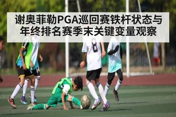 谢奥菲勒PGA巡回赛铁杆状态与年终排名赛季末关键变量观察