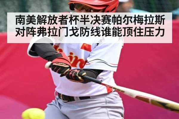 南美解放者杯半决赛帕尔梅拉斯对阵弗拉门戈防线谁能顶住压力
