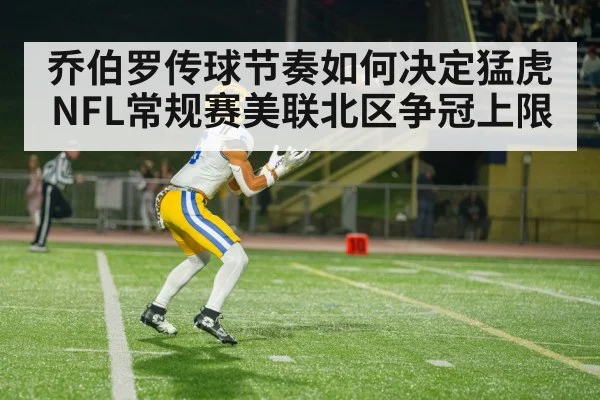 american football wide receiver catch